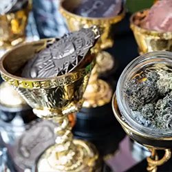 Announcing the Winners of the High Times Cannabis Cup Michigan: People's Choice Edition 2023